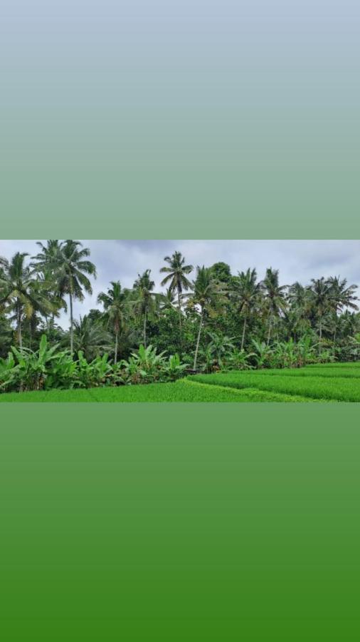 Galang Hari Villa Ubud Exterior foto
