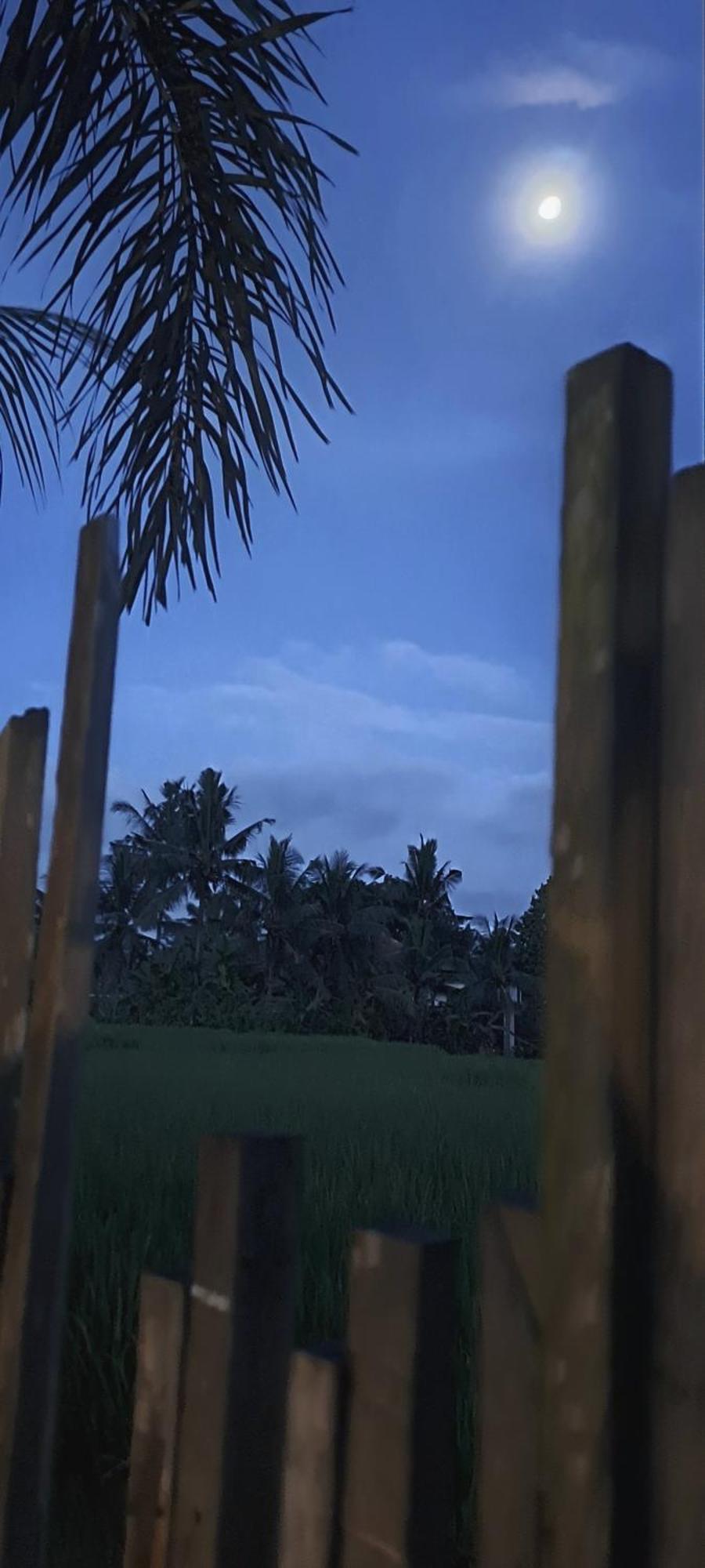 Galang Hari Villa Ubud Exterior foto