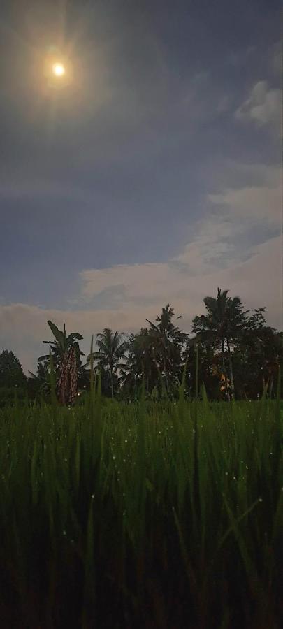 Galang Hari Villa Ubud Exterior foto